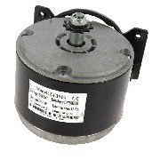 motore 24V 250W per pocket scooter elettrico (ZY1016)
