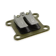 Lamina carbon per mini moto