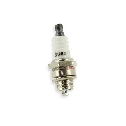 Candela M6A per Mini quad