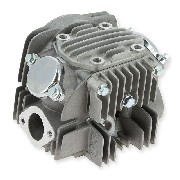 Testata per Pit Bike 140cc 1P55FMJ + coperchio (Lifan)
