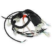 Cablaggio elettrico per Quad Bashan 200cc (BS200-7)
