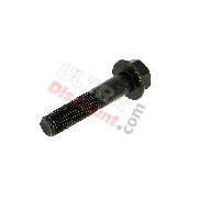 Vite M10 x 50 x 1.25