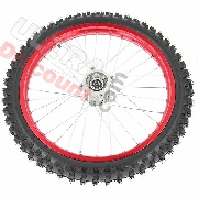 Ruota anteriore 19'' per Pit Bike AGB30 (rossa)