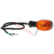 Indicatore di direzione posteriore per Quad Shineray 200cc STIIE -STIIE-B