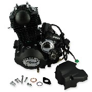 Motor 50cc vertical (139FMA) per Skyteam ACE (Nero)