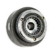Volano magnetico per Dirt Bike 200-250cc (type2)