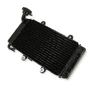 Radiatore per Ricambi quad Bashan 250cc BS250AS-43