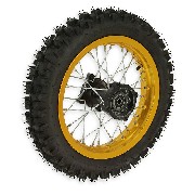 Ruota posteriore 12'' per Pit Bike AGB29 (oro)