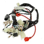 Cablaggio elettrico per PBR 50cc e 125cc (dopo 10-2015)