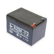 BATTERIA 12V12AH 6-DZM 12