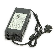 CARICABATTERIA 36V 10-12Ah XLR spina