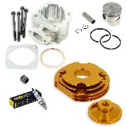 Kit 53cc 4 transferts asse di 10 mm (tipo B, oro)