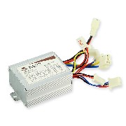 controllore dimmer Mini Quad 36V 350W