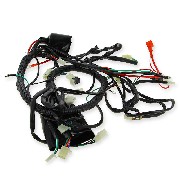 Cablaggio elettrico per Quad Spy Racing 250 F1