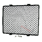 Griglia di protezione per radiatore di Quad Shineray 250ST-9C
