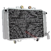 Radiatore per Quad Shineray 250 cc Racing ST-9C