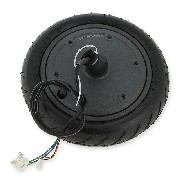 53-5000 Ruota anteriore completa da 250w per scooter Xiaomi m365