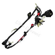 Cablaggio elettrico per Quad Shineray 200cc (XY200ST-6A)