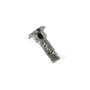 Vite di fissaggio del disco del freno per Quad Shineray 300cc (33mm) 