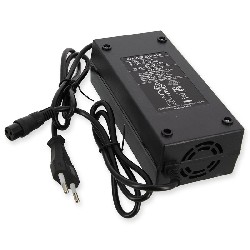 CARICABATTERIA 48V 12Ah XLR spina