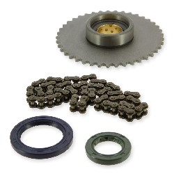 Kit pignone e catena di avviamento per motore Skyteam 50cc