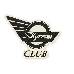 Adesivo SkyTeam Club per serbatoio Skymini (destro)