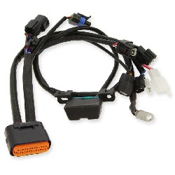 Cavo di collegamento 1 per Unità di controllo per Dax Skymax 50-125cc EURO5