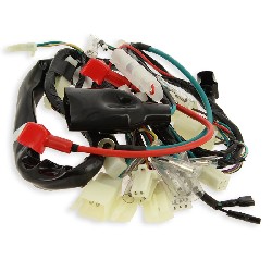 Cablaggio elettrico per Skymini Skyteam 50cc EURO5