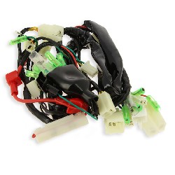 Cablaggio elettrico 3Dax per Skyteam Skymax 50cc EURO5