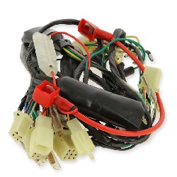 Cablaggio elettrico per PBR 125cc NEW CAFE