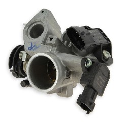 Corpo farfallato di ammissione per Bashan 250cc BS250AS-43 (typo2)