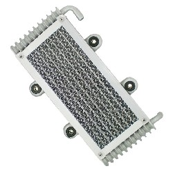 Radiatore olio per Quad Bashan 300cc (BS300S-18)