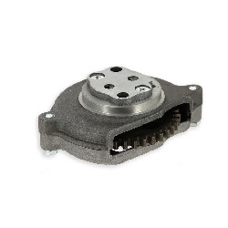 Pompa dell'olio per Quad Shineray 250cc STXE (tipo 2), Ricambi Shineray 250 STXE