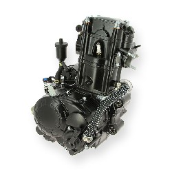 Motore per Quad Spy Racing SPY250F1 (ZS169MM )
