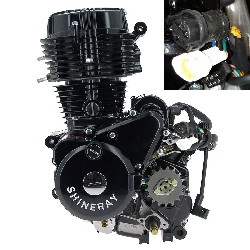 Motore per Quad Shineray 250cc STXE 167FMM (typo2)
