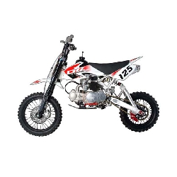 Pit Bike 125 PRO CRZ 2008 